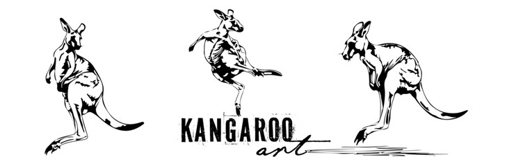 Cute kangaroo art in different poses. Animal silhouettes, various kangaroos. Vector collection of drawn kangaroo with lots of details and artistic spots.