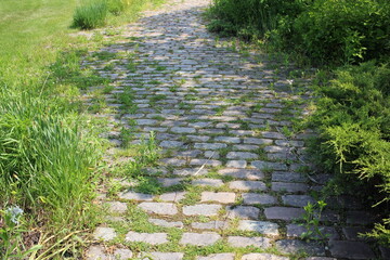 Obraz premium path in the garden