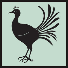 Lyrebird black silhouette set vector, illustration of an eagle