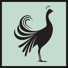 peacock vector illustration, Lyrebird black silhouette set vector