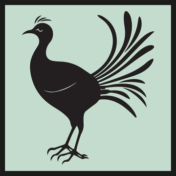 recommend clip art: Lyrebird black silhouette set vector, illustration of an eagle