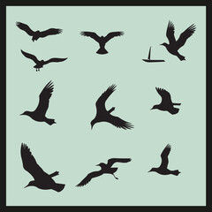 set of silhouettes of birds, Albatross black silhouette set