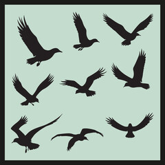 set of birds, Albatross black silhouette set