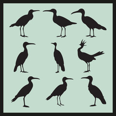 Obraz premium Booby black silhouette set vector, set of silhouettes of birds