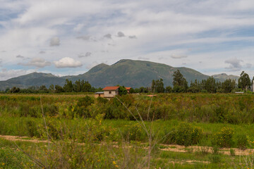 beautiful rural landscape, with green crops, pine trees and mountains in the background,cloudy day