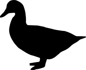 Duck goose silhouette vector png. Vector illustration duck png. transparent background
