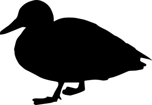 Duck goose silhouette vector png. Vector illustration duck png. transparent background