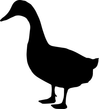 recommend clip art: Duck goose silhouette vector png. Vector illustration duck png. transparent background