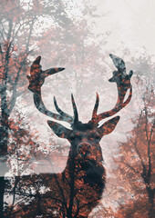 "Double Exposure Silhouette-deer"