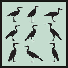 Fototapeta premium Cormorant black silhouette set vector, set of birds SET