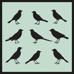 set of birds silhouettes, Crow black silhouette set vector