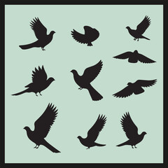 set of birds, Dove black silhouette set vector