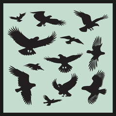 Eagle black silhouette set vector, silhouettes of birds