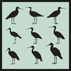 Obraz premium Godwit black silhouette set vector, set of birds