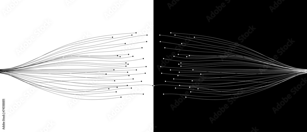 Fototapete Abstract lines with dots over background. Connecting or big data concept. Design element or icon. Black shape on a white background and the same white shape on the black side.