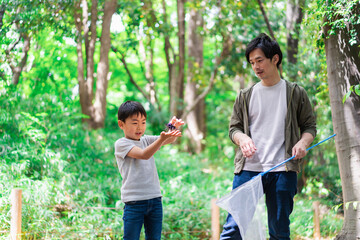 虫取りをするお父さんと男の子