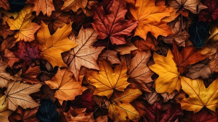 A pile of leaves on the ground, perfect for autumn-themed designs