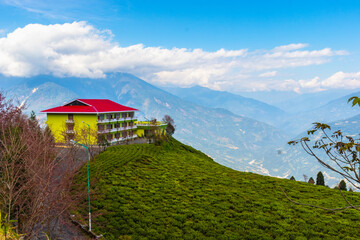 A highland tea plantation with a beautiful red-roof farmhouse. A beautiful cumulus Cloudscape in a clear blue sky on the great Himalayan mountain in the background adds a mesmerizing effect to the sce