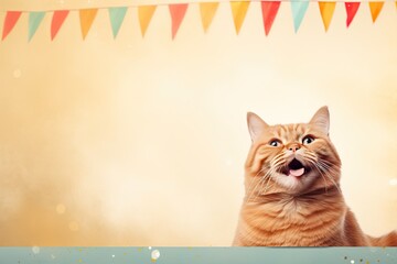 Orange tabby cat on a pastel background.
