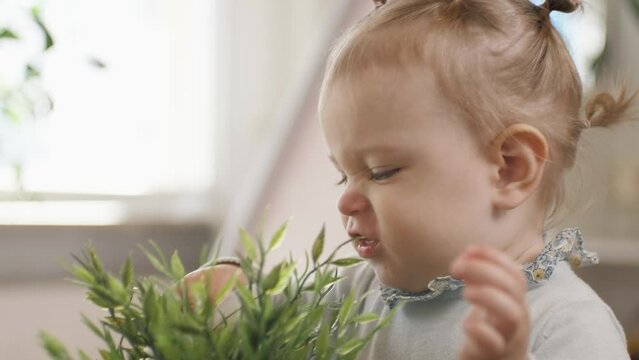 Little cute baby girl is playing with a green plant, smiling and sniffing it. She takes out an artificial butterfly