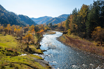 Fototapeta na wymiar View of river in Altay mountains in the autumn