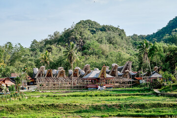 Sulawesi - Architektur der Torajas