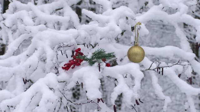 Close-up of Christmas toys on a snow-covered branch. New Year is approaching. Yellow ball and red rowan on snow-covered branches.