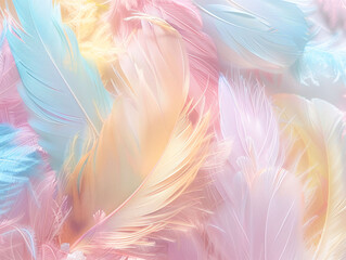 Soft Feather and Tulle Textures