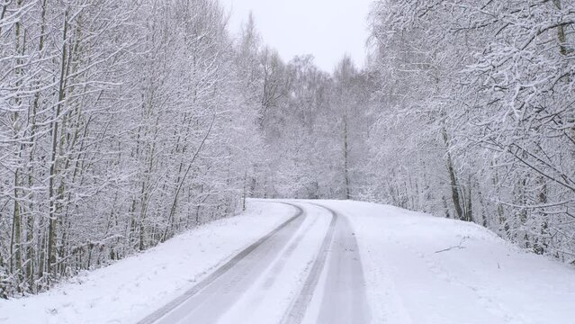 Snowy road and trees in the forest in winter.