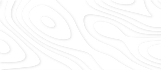 Obraz premium Abstract white background with paper cut out layers .Luxury paper cut background, Abstract decoration .Vector illustration. Material design. Paper cutting texture. Applicable for business banner.