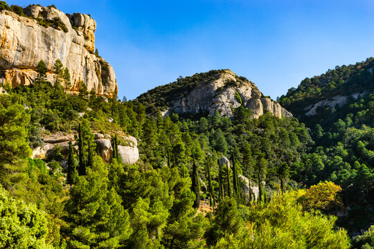 landscape with rocks