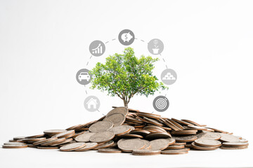 Tree glowing on heap of coins with investment and money saving icon for get profit and dividend...