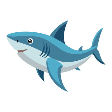  Sharks Animal flat vector illustration.