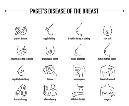 Paget's Disease of the Breast symptoms, diagnostic and treatment vector icons. Line editable medical icons.