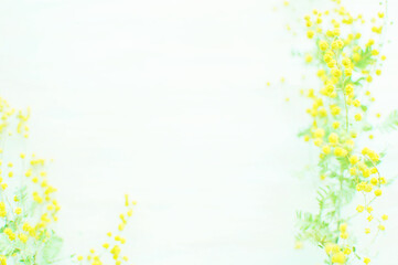 ミモザの花