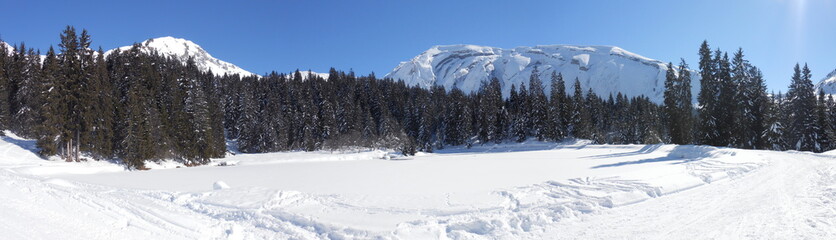 Fototapeta premium panorama de montagnes enneigées en hiver avec vue sur les Terres Maudites situées dans le Chablais dans les Alpes