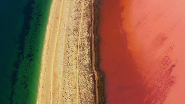 Pink and scarlet water of lake is separated by strip of land from green one of sea. Amazing marine and natural salty reservoir landscape with isthmus between them, taken by drone. Picturesque scenery