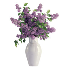lilac in a vase on transparent background