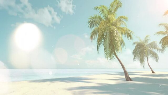 nature background with summer beach and palm tree. palms on empty idyllic tropical sand beach. seamless looping overlay 4k virtual video animation background 
