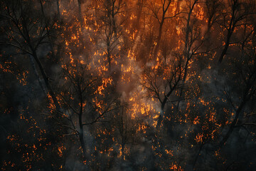 Burning forest, wildfire in the bush, trees ablaze, environmental danger. - obrazy, fototapety, plakaty