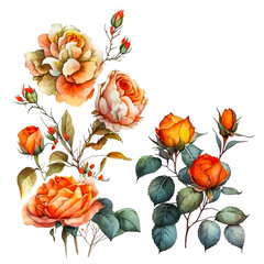 Immerse in the beauty of 'Ethereal Watercolor Roses', a composition that reveals the delicate allure of roses on a transparent background. An ideal choice for adding a touch of natural elegance .
