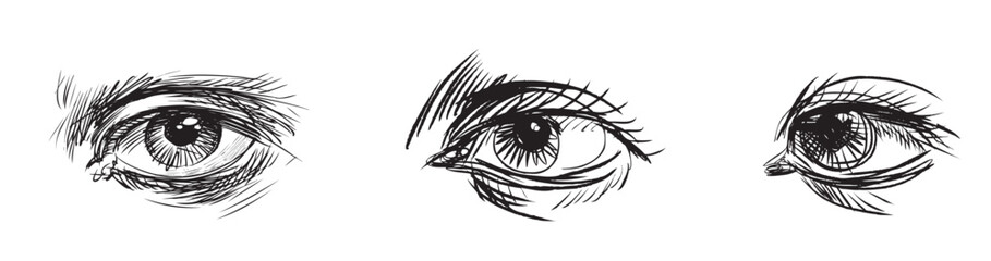 Sketches of various human eyes, vector black and white hand drawing isolated on white