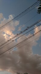 power lines at sunset