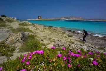 Foto auf Acrylglas Strand La Pelosa, Sardinien, Italien La pelosa beach in Stintino on island of Sardinia