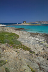 Fototapeta premium La pelosa beach in Stintino on island of Sardinia