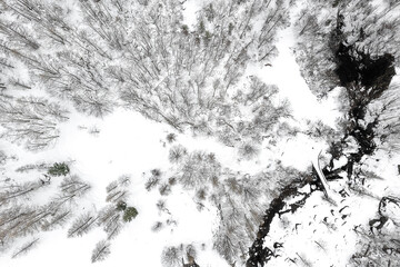 Snowcapped forest with alpine river, drone view  - 745232893