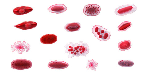 Collection of red viruses, germs and bacteria isolated on a white background as transparent PNG
