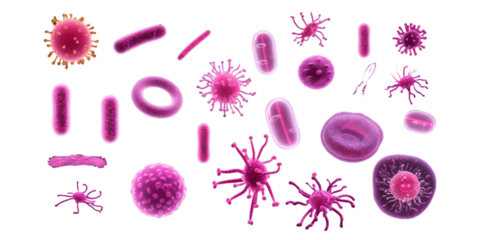 Collection of pink viruses, germs and bacteria isolated on a white background as transparent PNG