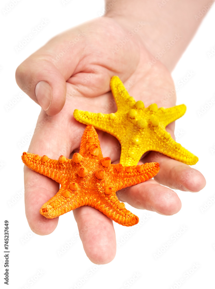 Wall mural Hand holding two starfish, yellow and orange