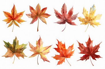 Fototapeta premium Beautiful Autumn Leaves in Watercolor Art